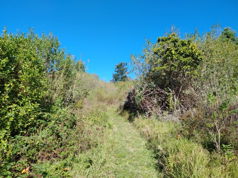 Commercial Property for Sale in Wilderness Heights Western Cape